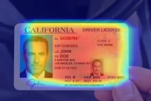 Maryland Driver License Renewal