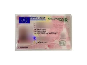 polish driving license
