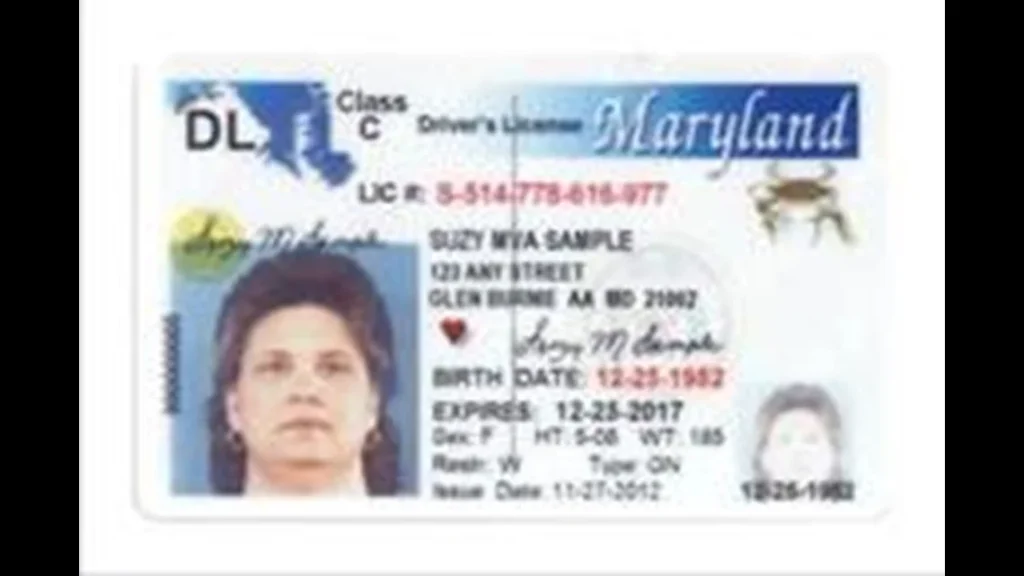 Maryland drivers license renewal