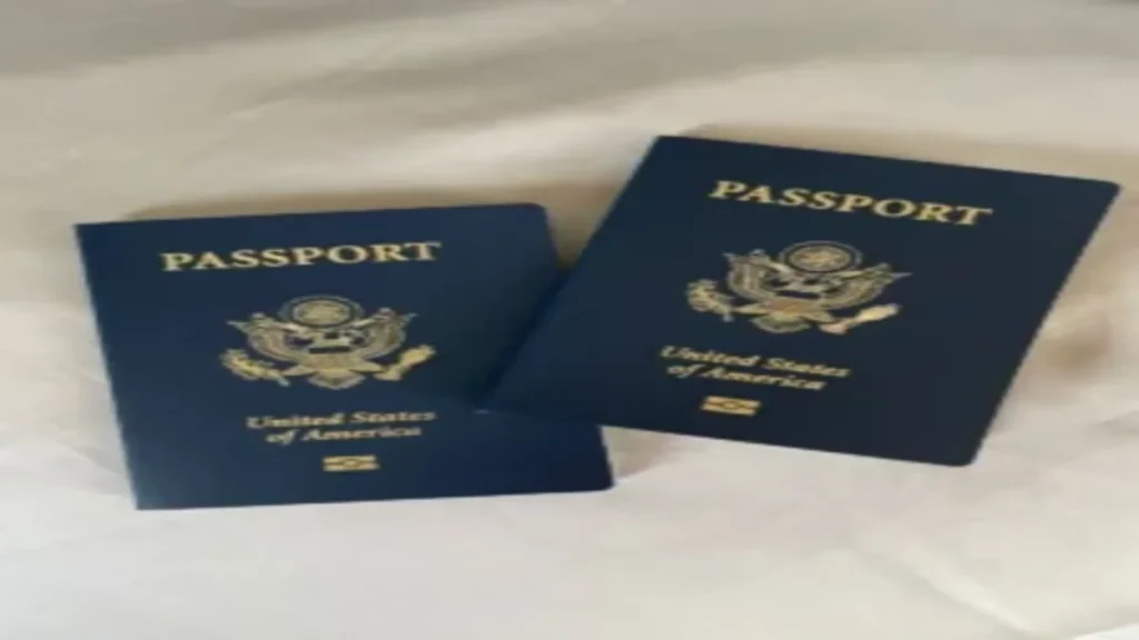 How to Renew Passport Online